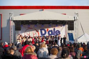 Sarbatorim impreuna Romania- D'ale porcului 2019 ziua a 2-a