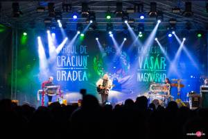Targ de Craciun Oradea 2019- Concert Stefan Hrusca Targ de Craciun Oradea 2019- Concert Stefan Hrusca