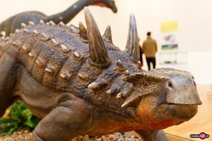 Ultimii Dinozauri din Transilvania Ultimii Dinozauri din Transilvania