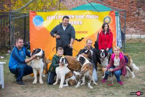 Halloween Dog Show Halloween Dog Show