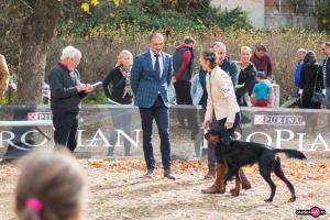 Halloween Dog Show Ziua a 2-a Halloween Dog Show Ziua a 2-a
